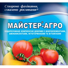 Мастер (12)