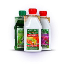Мистер цвет (5)
