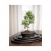16.036.19 BONSAI графит