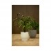 Горшок с подставкой